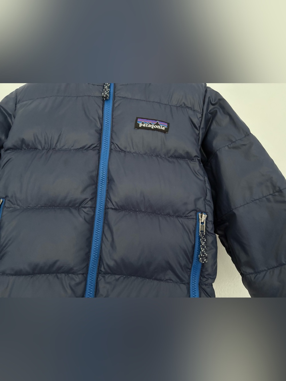 Patagonia Toddler Puffer Jacket with Hood - Picture 2 of 5